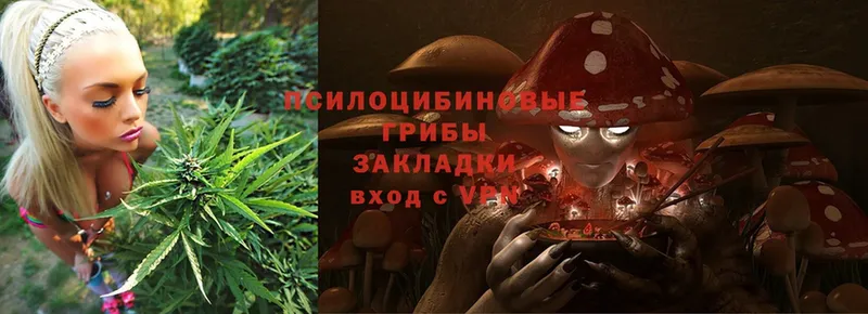 где купить наркотик  Изобильный  Галлюциногенные грибы Magic Shrooms 